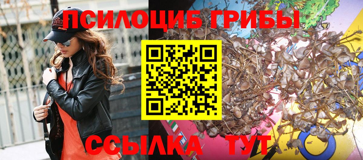 Галлюциногенные грибы GOLDEN TEACHER  Вход с VPN  где найти   Малгобек 