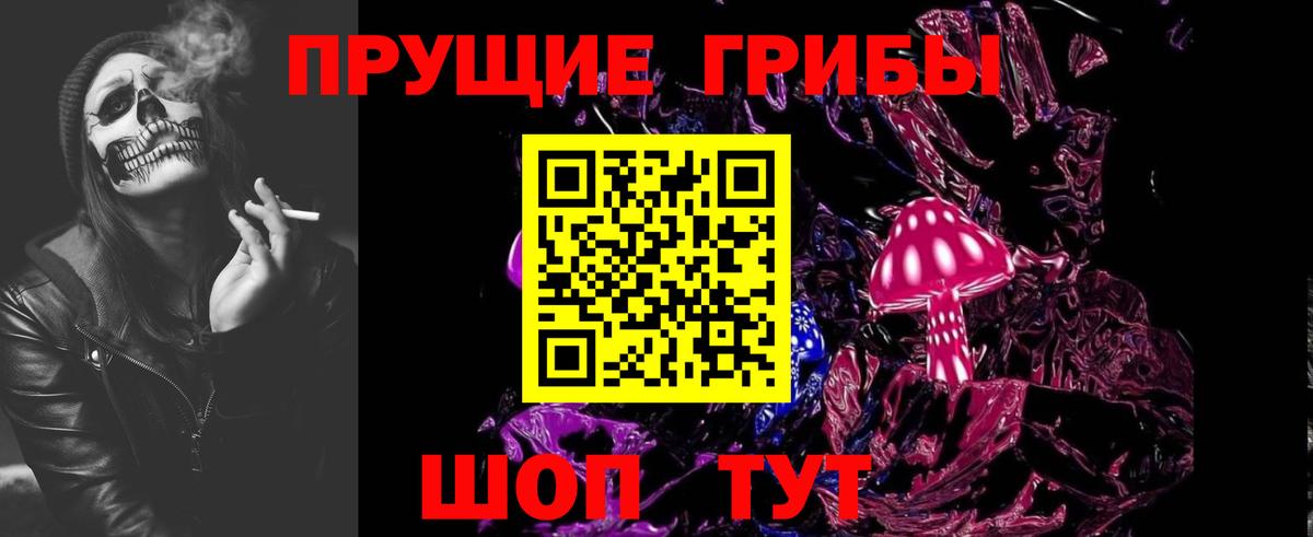 Псилоцибиновые грибы GOLDEN TEACHER Малгобек